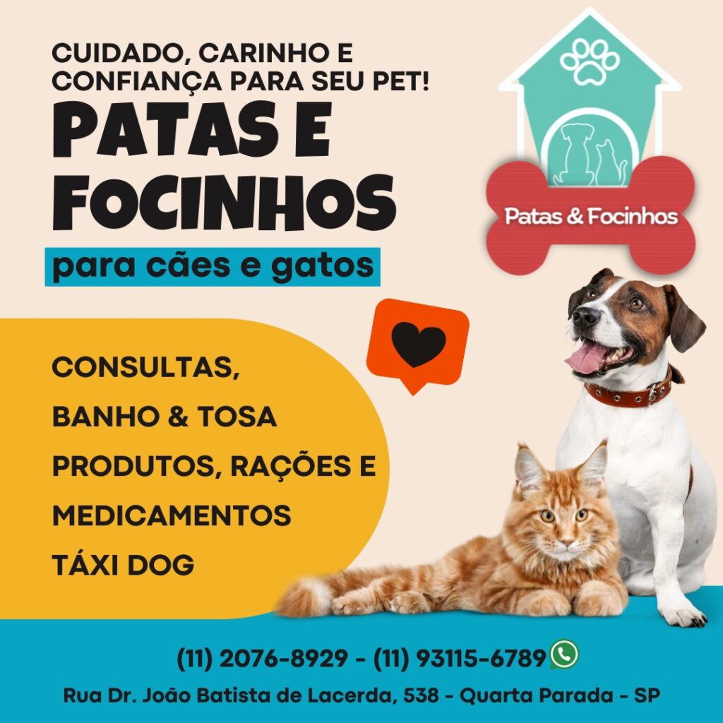 PATAS E FOCINHOS - OFICIAL